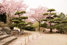 EGA 1556.webp