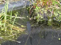 DSC01123.webp