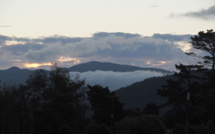 tn_Copy of IMG_7720v.webp