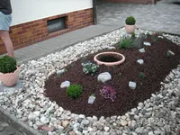 PICT0203.webp