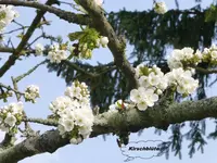 P1010440.webp