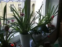 002.webp