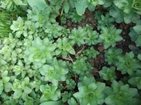 DSCF6067.webp