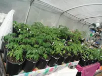 DSCF7689.webp