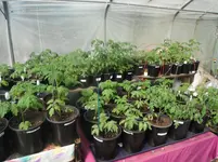 DSCF7691.webp