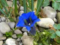 DSCN6926.webp