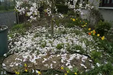 _DSC5121.webp