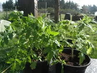 DSCF7676.webp