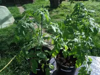 DSCF7678.webp