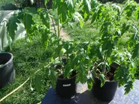 DSCF7679.webp