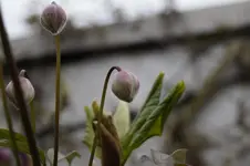 _DSC5143.webp