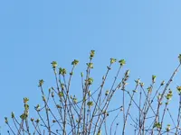 DSCN2995.webp