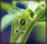 comp_DSC06372.webp