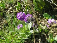 021_1024x768.webp