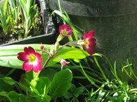 022_1024x768.webp