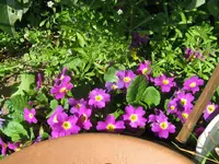 023_1024x768.webp