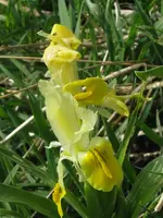 012_576x768.webp