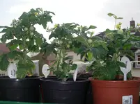 IMGP0189.webp