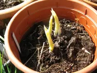 014_1024x768.webp