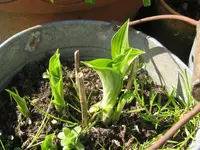 017_1024x768.webp