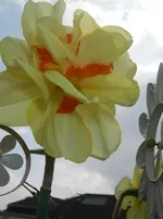 IMGP0188.webp