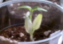 2014-04-05-1645.webp