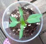 2014-04-05-1638.webp