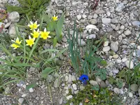 DSCN6946.webp