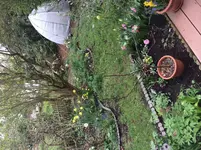 April 14_4.webp