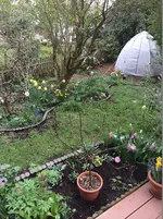 April 14_4_1.webp