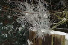 DSC00434.webp