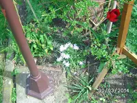 Andenknofi.webp