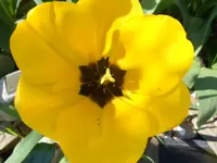 DSCN3270.webp