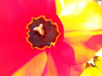DSCN3271.webp