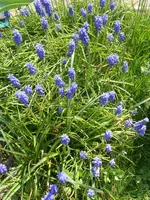 DSCN3278.webp