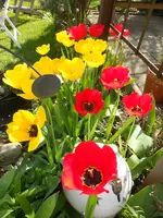 DSCN3280.webp