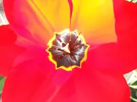 DSCN3285.webp