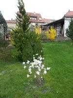 2014-04-04   Gehölze Obergarten.webp