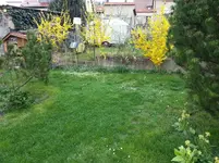 2014-04-04  Forsythien Obergarten.webp
