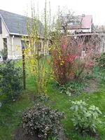 2014-04-04  Schattengrenze.webp