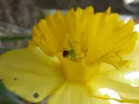 P1020632.webp