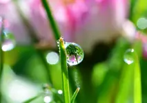DSC_0013.webp