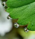 DSC_0144.webp