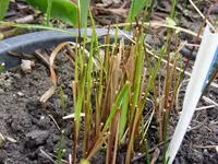 Bild 015.webp