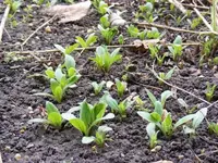 Bild 014.webp