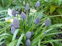 P1020802.webp
