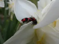 P1020440.webp