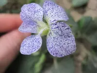 002.webp