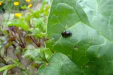 DSC00160.webp