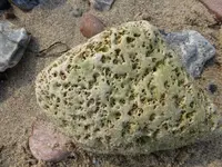 P1020310.webp